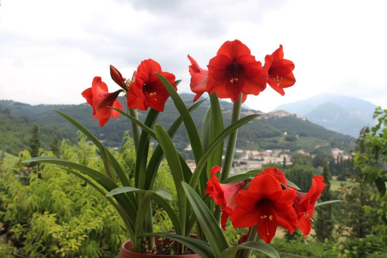 Il Castello sul Lago Arrone Esterno foto