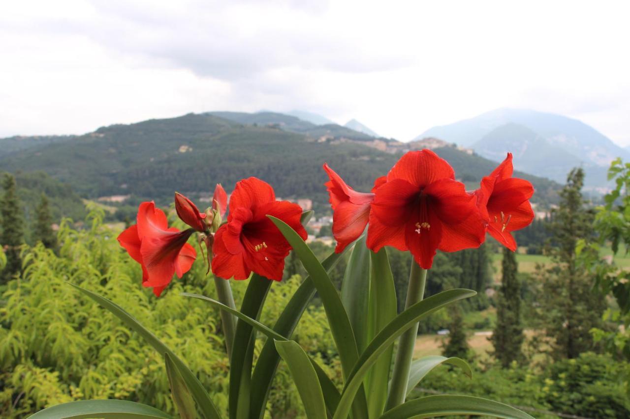 Il Castello sul Lago Arrone Esterno foto